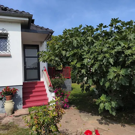 Privée , Près De L'hôpital Pasteur Et Gare *