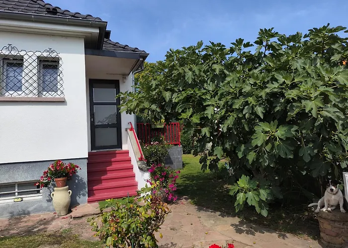 Privée , Près De L'hôpital Pasteur Et Gare *